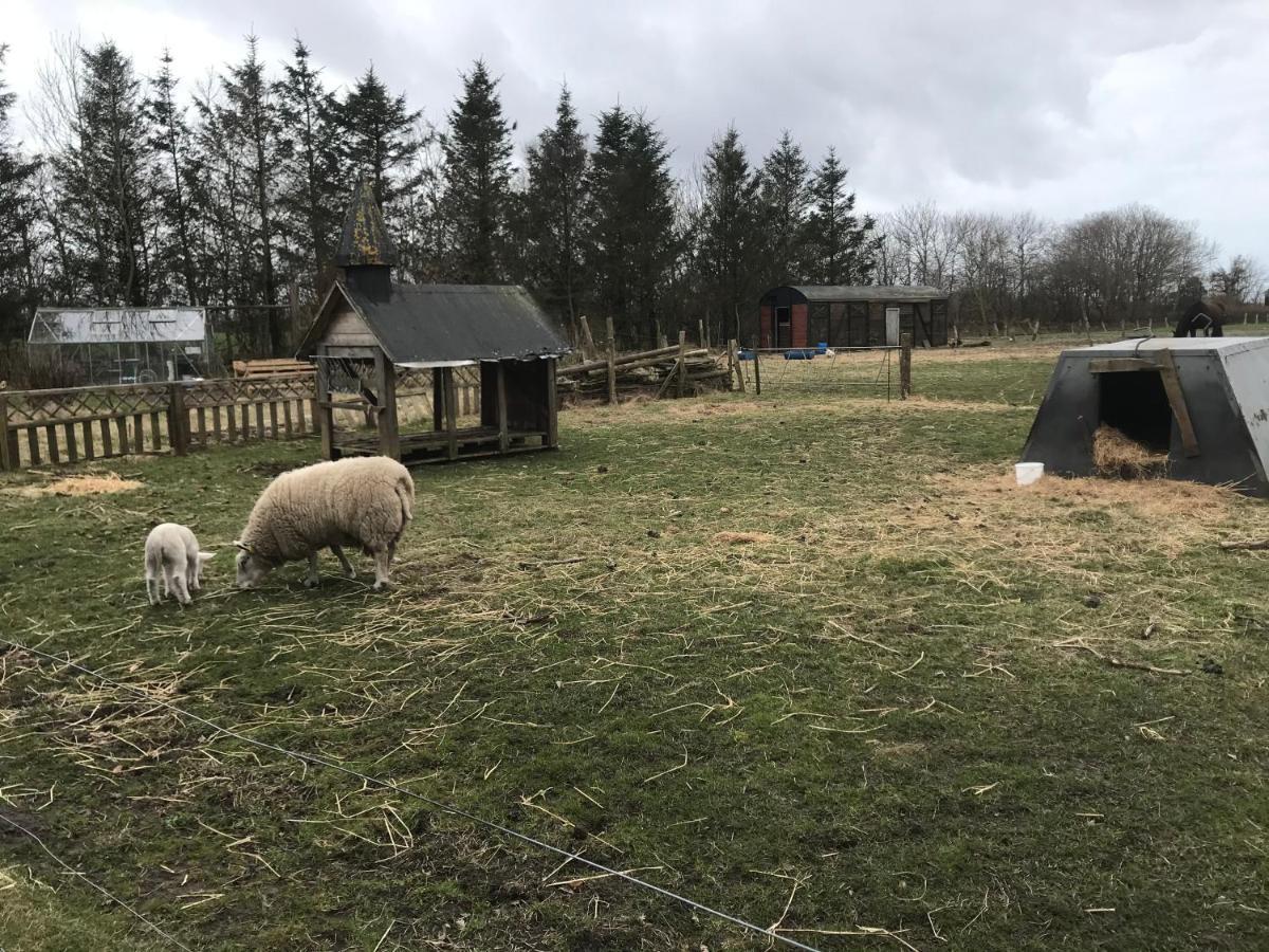 Sdr. Bork Villa Hemmet Kültér fotó